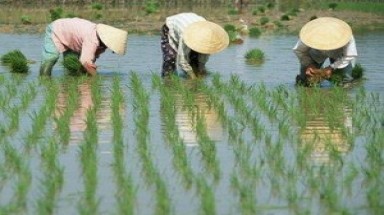   Miền Bắc ấm dần, miền Nam đề phòng xâm nhập mặn 