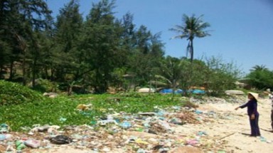  Quảng Ngãi: Dã thú lại xuất hiện 