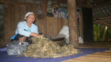   Bà lang với bài thuốc "cải tử hoàn sinh"