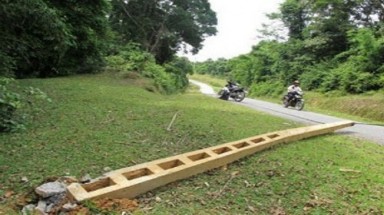 Hà Tĩnh: Kinh hoàng đàn voi rừng quật đổ cột điện