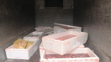  Hà Nội: Bắt xe tải chở lòng lợn và gà Trung Quốc