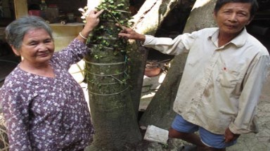 Bà Sáu Chanh gần 30 năm trị rắn cắn cứu người