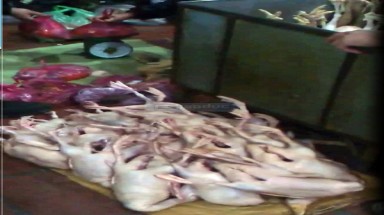 Gà chích xi-lanh bơm nước được tiêu thụ như thế nào