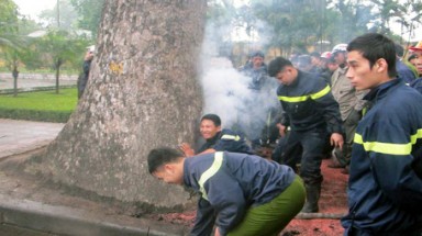  Hai xe chữa cháy cứu một... gốc xà cừ