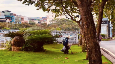  Sáng kiến dọn lá rụng