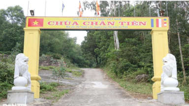  Hà Tĩnh: Tạm giữ sư trụ trì và 3 người cưa hạ cây thông trước cửa chùa Chân Tiên