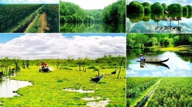Cà Mau quy hoạch hơn 1.300 ha Vườn Quốc gia U Minh Hạ thành khu du lịch sinh thái