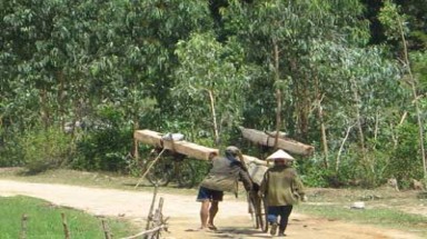 Rừng phòng hộ Đắk Đoa tan nát vì “lâm tặc” 