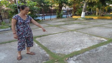  Bé 2 tuổi chết thương tâm nghi ăn nhầm bả chó