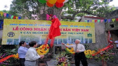 Truyền lửa giữ “vàng xanh” di sản