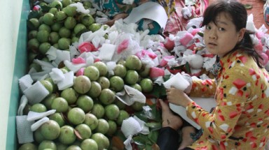  Để GAP có thể “sống lâu”