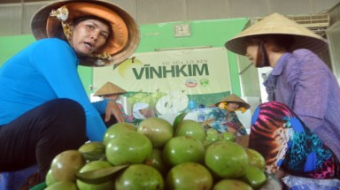  Nông dân xin ra khỏi GAP