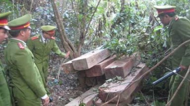  Cần bổ sung nhiều chế tài hơn trong quản lý tài nguyên và môi trường 
