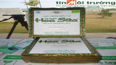  Sản xuất gạo hữu cơ đầu tiên tại Việt Nam