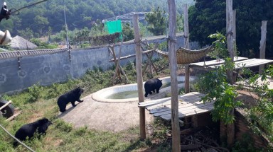  16 tổ chức kiến nghị triển khai thực hiện dự án mở rộng Trung tâm cứu hộ ĐVHD Hà Nội 