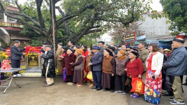  Cây Đa cổ thụ 300 năm tuổi tại Vĩnh Phúc được công nhận là Cây Di sản
