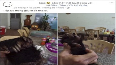 36 tháng tù giam cho đối tượng vận chuyển trái phép chi gấu tại Thanh Hóa