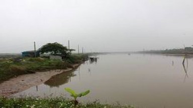  Kiểm tra việc giao đất, sử dụng đất bãi bồi ven sông, ven biển