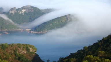  Sương mù vây kín đảo Cát Bà