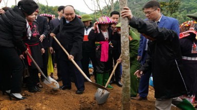 Thủ tướng phát động “Tết trồng cây đời đời nhớ ơn Bác Hồ” tại Yên Bái