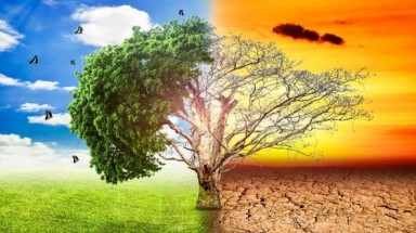 Phát thải CO2 của châu Á tăng gấp 3 lần