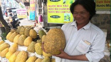  Lạ lẫm bưởi “khủng” chưng tết hơn chục ký