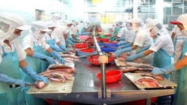  Sóc Trăng: Áp dụng sản xuất sạch hơn trong công nghiệp
