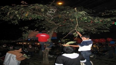 Hái lộc đầu năm: Coi chừng phải tội 