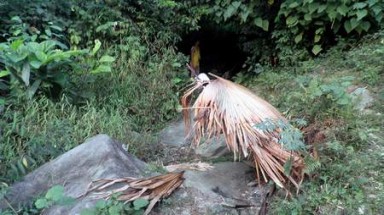  Tuyên Quang: Hành trình đi tìm 'người rừng'  