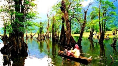  Rừng cây hồ Noong Việt Nam vào top 6 khu rừng ”bồng bềnh” đẹp nhất