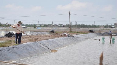  Kiểm điểm 8 tỉnh báo cáo không đúng thiệt hại thiên tai, dịch bệnh 