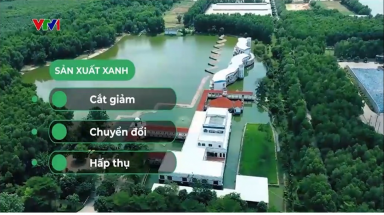  Net Zero:Từ cam kết đến những bước đi tiên phong của doanh nghiệp Việt