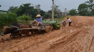 Đường "hành" dân