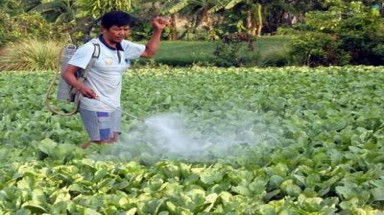  Chất độc, chất cấm tràn lan trong sản phẩm nuôi trồng