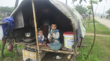  “Cá vạn đò” lên cạn