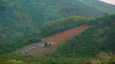  Bảo Lộc đừng để những người con xa quê phải tiếp tục thở dài bởi những ngọn đồi nham nhở!