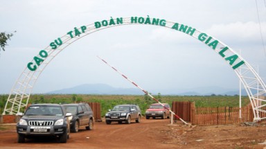  Sự thật về việc "chây ì thuế" của Hoàng Anh Gia Lai