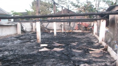 Nghệ An: Lửa thiêu 140 con lợn cháy đen