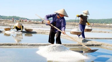  Nắng nhiều, diêm dân Ninh Thuận trúng mùa  muối