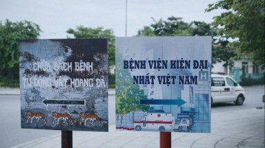  Ngày Động Thực vật Hoang dã Thế giới 2021: Hãy lựa chọn sáng suốt để bảo vệ động vật hoang dã