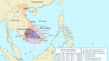 Khẩn trương đối phó bão số 1