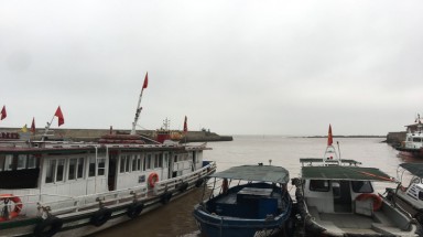  Năm 2019 bão tập trung nhiều ở khu vực Trung Bộ