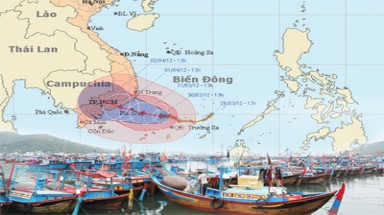Bão đến quá sớm