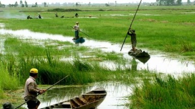  Biến đổi khí hậu ở Đồng bằng sông Cửu Long: Hạn, ngập và nhiễm mặn