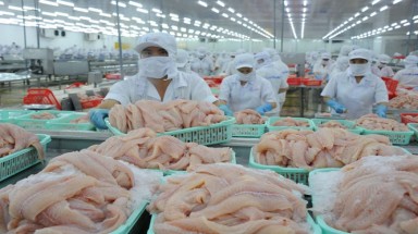  Cá tra hết đường vào Mỹ?