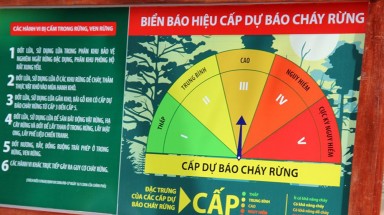 Trên 58.000 ha rừng tại Tây Ninh đang ở dự báo cấp cháy rừng cực kỳ nguy hiểm