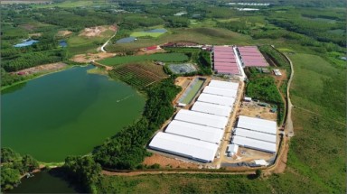  Lãnh đạo Sở TN-MT Phú Thọ khẳng định Dabaco bị phạt 300 triệu là đúng