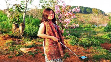  Vụ bẻ hoa anh đào: Chỉ cần một lời xin lỗi chân thành