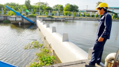 Biến đổi khí hậu ở TPHCM - Những thách thức mới