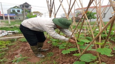  Phó chủ tịch phường lương 4 triệu đồng/tháng sao vẫn cố làm?